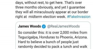 James woods on Twitter: Mob would have to walk 20 miles a day for 100 consecutive days to get to the U.S.