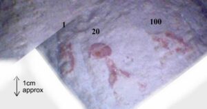 Mystery of pyramid hieroglyphs: It all adds up