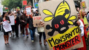 Monsanto: Seeds, bees and big business - Al Jazeera English