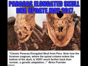 DNA Testing Of Paracas Peru Elongated Skulls: May 2017 Update - YouTube