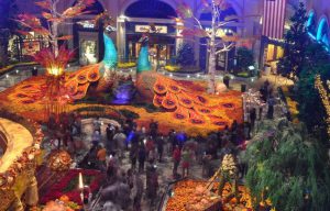 Two hours of Bellagio conservatory camera footage wiped from night of massacre  : conspiracy