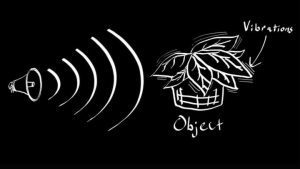 New MIT research: anything can be turned into a microphone, posts video of 'Mary Had a Little Lamb' recorded by house plant - conspiracy