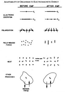 Bioelectromagnetic healing, its history and a rationale for its use. - conspiracy