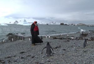 The Ark of Gabriel, Antarctica, Russia and the Apocalypse  Mysterious Universe