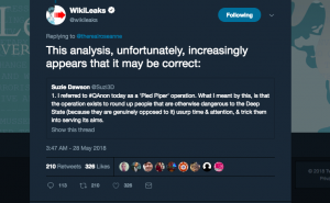 WikiLeaks Calls QAnon A Likely &lsquo;Pied Piper&rsquo; Operation