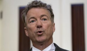 Rand Paul floats immunity for Julian Assange as senators seek answers in Russia probe: Report - Washington Times