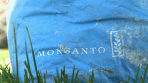 'Explosive' documents about Monsanto in Europe  Euronews