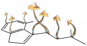 Psychedelic psilocybin therapy for depression granted Breakthrough Therapy status by FDA