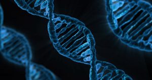 Human DNA was designed by 'Aliens', say scientists who spent 13 years working on the Human Genome Project. A pair of scientists from Kazakhstan believe our species was designed by a higher, alien civilization that either wanted to preserve a message in ou