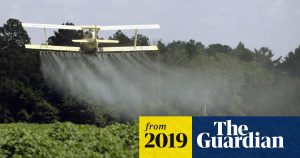 Pesticide residues found in 70% of produce sold in US even after washing  Environment  The Guardian