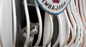 Reporter Locked Up in Ecuador Embassy Room During Assange Visit  News  teleSUR English