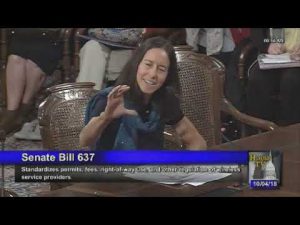 Dr. Sharon Goldberg Testifies at Michigan's 5G Small Cell Tower Legislation Hearing "Wireless Radiation as Biological Effects" - conspiracy