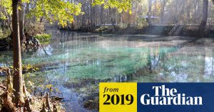 Nestl&eacute; plan to take 1.1m gallons of water a day from natural springs sparks outcry  Business  The Guardian