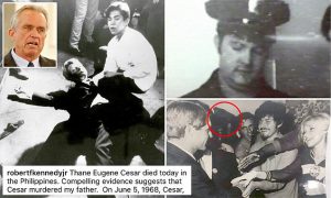 Robert F Kennedy assassinated by Thane Eugene Cesar and Sirhan Sirhan says RFK Jr  Daily Mail Online