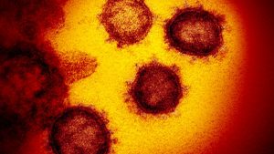 Coronavirus death rate is lower than previously reported, study says, but it's still deadlier than seasonal flu - CNN