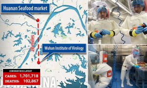 https://www.dailymail.co.uk/news/article-8211291/U-S-government-gave-3-7million-grant-Wuhan-lab-experimented-coronavirus-source-bats.html