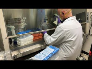 Dr Andrew Kaufman's Complete Breakdown On The COVID-19 Testing - YouTube