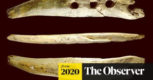 Making rope for 40k years -  a tusk, drill holes, weave a rope &ndash; and change the course of history  Science  The Guardian