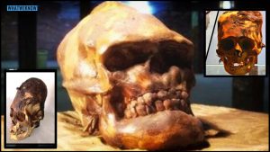 Nevada&rsquo;s Mysterious Red-Haired Giants Of Lovelock Cave - whatweknow - YouTube