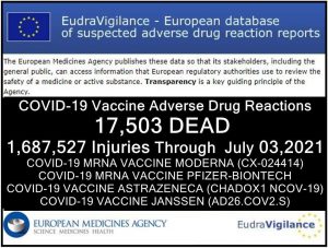 17,503 Dead, 1.7 Million Injured (50% Serious) Reported in European Union&rsquo;s Database of Adverse Drug Reactions for COVID-19 Shots - Global ResearchGlobal Research - Centre for Research on Globalization