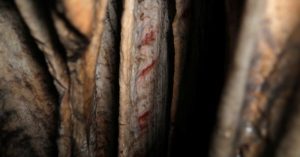 Prehistoric cave paintings in Spain show Neanderthals were artists  Reuters