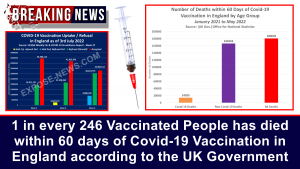 1 in every 246 Vaccinated People has died within 60 days of Covid-19 Vaccination in England according to UK Government &ndash; The Expose