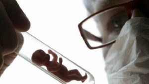 &ldquo;Babies for spare parts&rdquo;: Scientists create world's first lab-grown &ldquo;synthetic embryo&rdquo; - Anonymous Wire