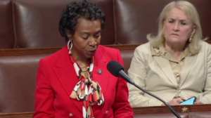 Democrat Lawmaker Says The Quiet Part Out Loud, Wants Illegal Aliens For &lsquo;Redistricting Purposes&rsquo; - State of the Union