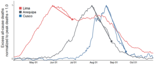 COVID-19 Excess Deaths in Peru Sharply Declined with Ivermectin Treatment by State