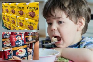 80% of Americans test positive for chemical found in Cheerios that may cause infertility