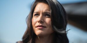 American Stasi: Tulsi Gabbard Confirms &quot;Quiet Skies&quot; Nightmare