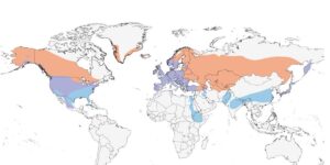 USDA/China Doing Gain-of-Function Work on H5N1 Bird Flu Since 2021