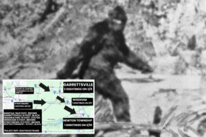 Bigfoot sightings light up the gloomiest corner of Ohio