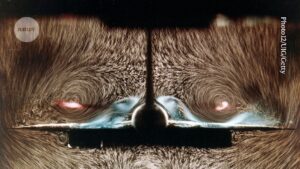 AI cracked the Navier&ndash;Stokes challenge. What does that mean for physics?